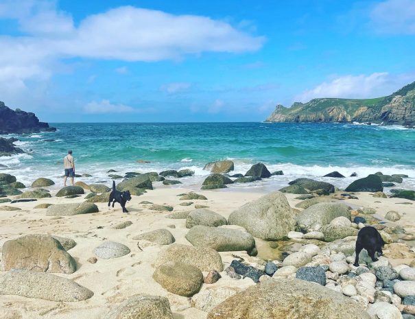 two black labs having fun on the beach at Nanjizal Cove