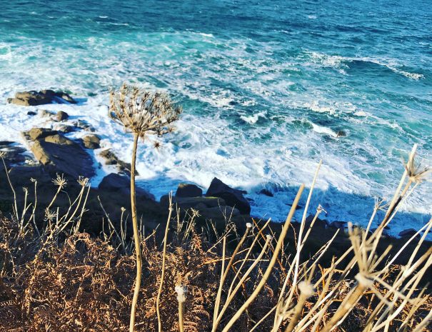 Looking out to see from the cliff