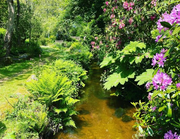 Looking down the stream with flowers everywhere