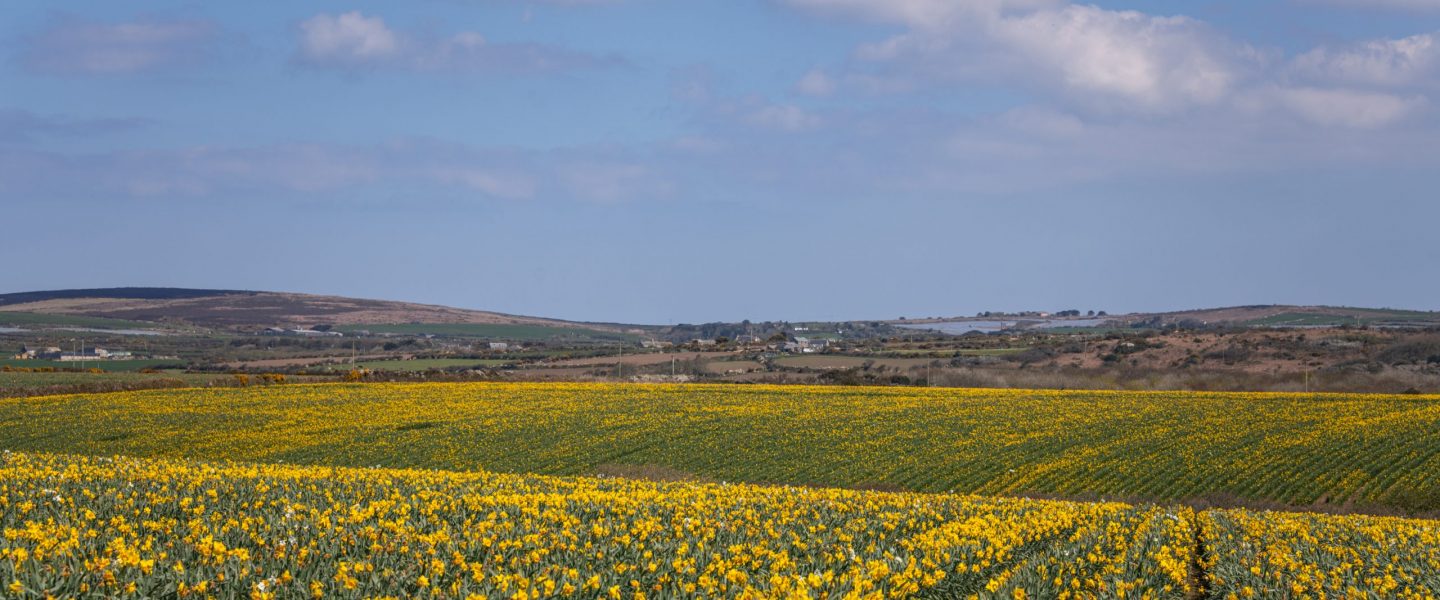 Glorious countryside romantic and remote