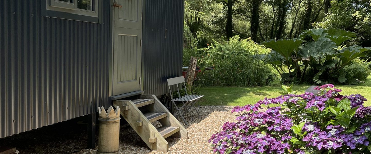 Side view of hut bathed in sunlight sat amongst all the plants and flowers