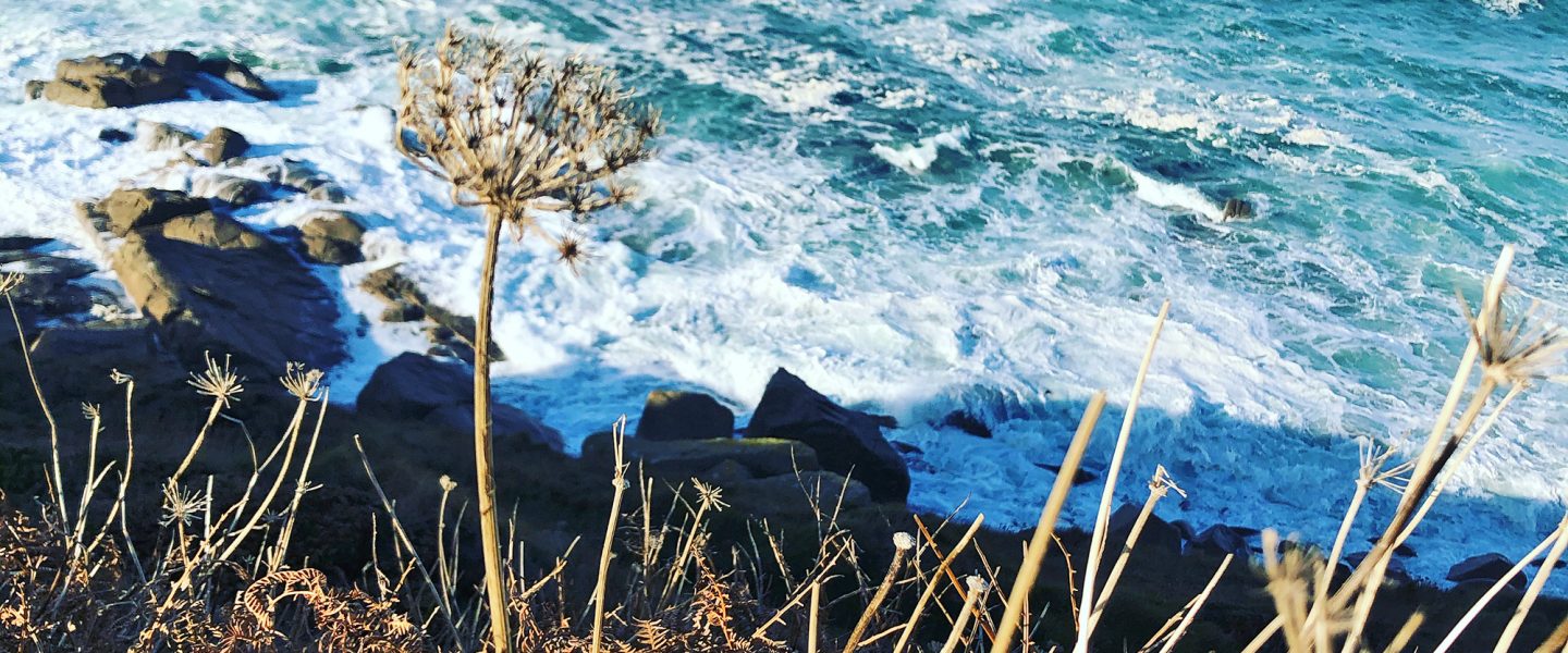 Looking out to see from the cliff