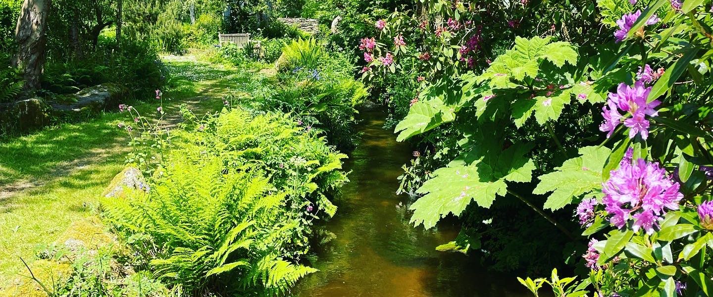 Looking down the stream with flowers everywhere